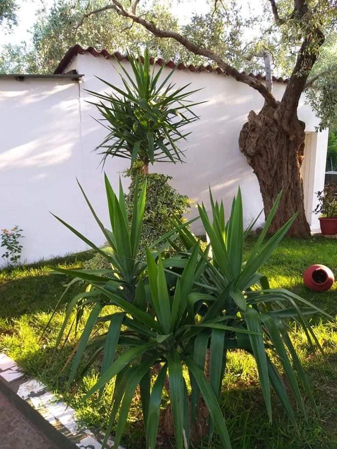 Apartmán Valia House Thassos Skála Kallirákhis Exteriér fotografie