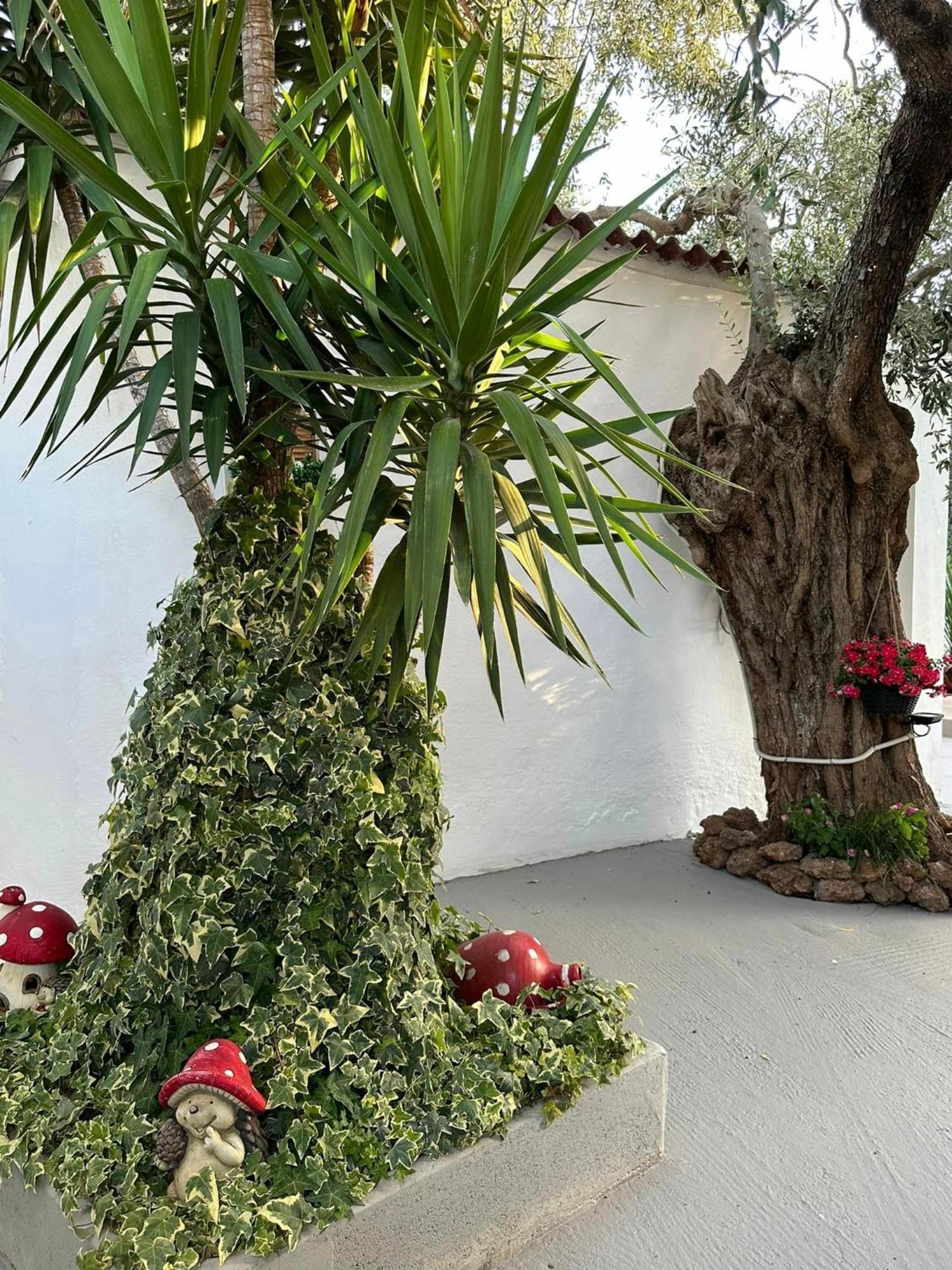 Apartmán Valia House Thassos Skála Kallirákhis Exteriér fotografie