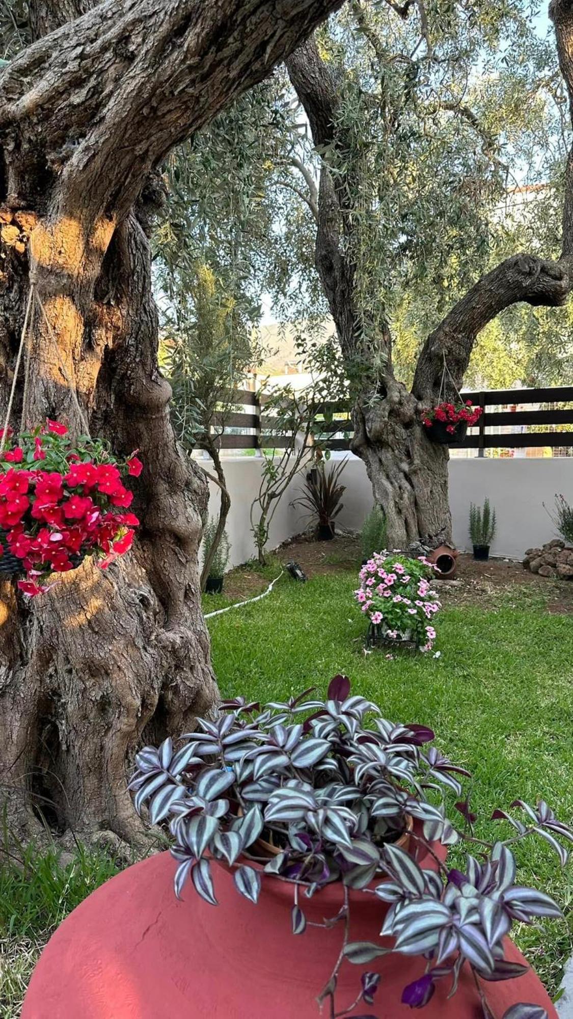 Apartmán Valia House Thassos Skála Kallirákhis Exteriér fotografie
